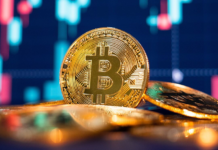 Bitcoin cae en el mercado tras días históricos, este su valor hoy 26 de noviembre